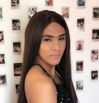POWER CD IVY ?? - Transsexual escort in Singapore