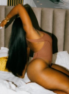 Bouncy Big Booty Shani Papaya Boobs - escort in Chennai Photo 5 of 8