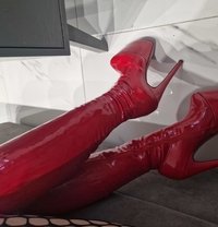 HOT ELITE CLASSY LADY - escort in Pattaya