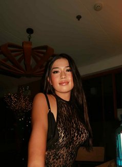 Hot Girl Ajin - Transsexual escort in Manila Photo 3 of 13