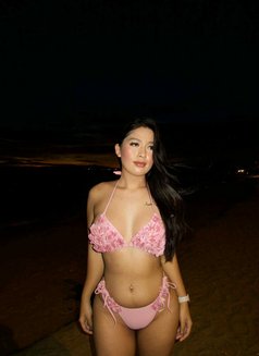 Hot Girl Ajin - Transsexual escort in Manila Photo 13 of 13