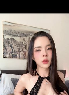 ⚜️🩸Hot Hard Cock Shemale - Acompañantes transexual in Dubai Photo 1 of 7