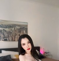 ⚜️🩸Hot Hard Cock Shemale - Transsexual escort in Dubai