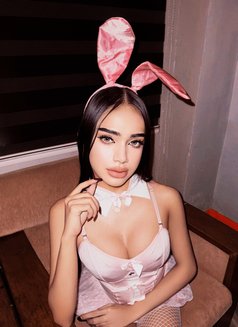 Hot Kimmy - Acompañantes transexual in Manila Photo 4 of 6