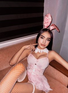Hot Kimmy - Acompañantes transexual in Manila Photo 6 of 6