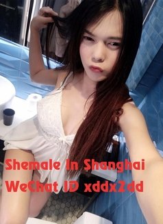 Hot Ladyboy - Transsexual escort in Shanghai Photo 6 of 8