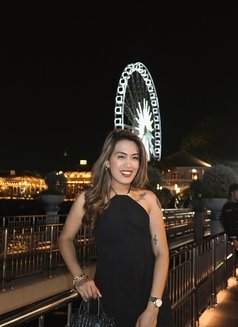 Hot ladyboy Tricia visiting - Transsexual escort in Bangkok Photo 6 of 7