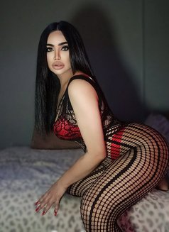 HOT!~MiMi Maria~#VIP#BestService - Transsexual escort in İstanbul Photo 22 of 22