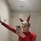 Hot Russian Alias 🇷🇺 - Male escort in Riyadh