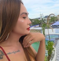 Hot Sexy Erha - Transsexual escort in Bangkok