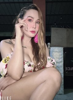 Hot Sexy Erha - Transsexual escort in Bangkok Photo 2 of 2