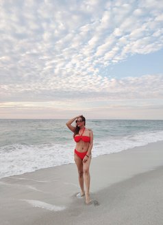 Hot Sexy Erha - Transsexual escort in Phuket Photo 6 of 6