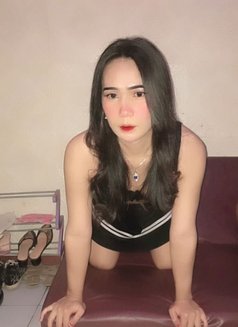 Hot Shemale - Acompañantes transexual in Jakarta Photo 9 of 23