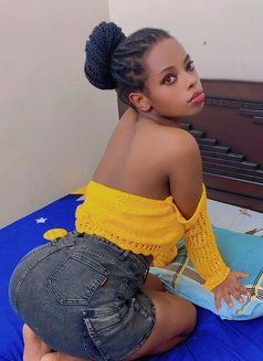 Hot Slim Girl Sasha Soft Chocolate Ass - escort in Chennai Photo 4 of 4