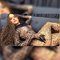 Hot top and bottom - Transsexual escort in Riyadh