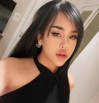 Monika Top services - Transsexual escort in Bangkok