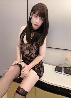 Hot Trans - Transsexual escort in Hong Kong Photo 13 of 29