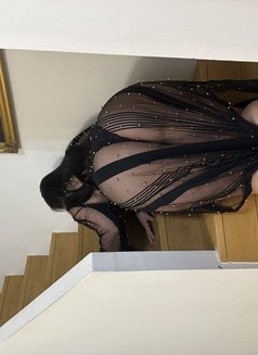 Hot Turkish Alev 🇹🇷 - escort in Riyadh Photo 12 of 13