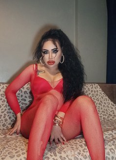 🦋HOT!~Zonya Maria~#VIP#BestService - Transsexual escort in İstanbul Photo 23 of 24