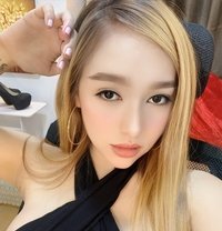 JAPANESE PORN STAR AVAILABLE NOW - escort in Jaipur