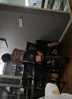 Hottie Natty - Transsexual escort in Bangkok Photo 7 of 16