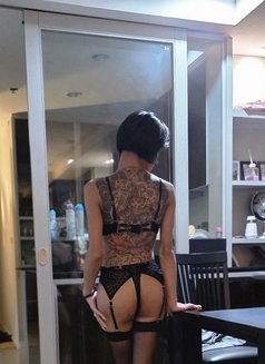 Hottie Natty - Transsexual escort in Bangkok Photo 8 of 16