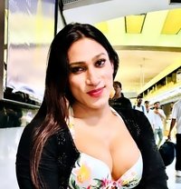 Hottie Shana - Transsexual escort in Chandigarh