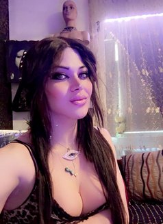 Hotty Amar - Transsexual escort in Beirut Photo 13 of 15