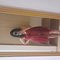 Hotty girl - escort in Gurgaon Photo 2 of 3