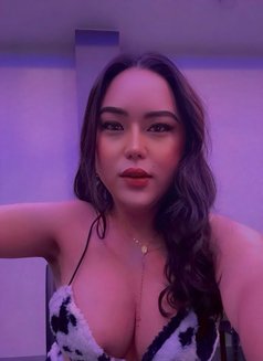 Hotty Perma ( camshow , meet ) - Transsexual escort in Amman Photo 29 of 29