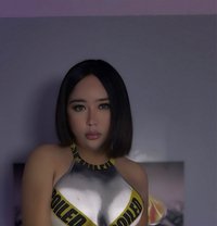 Yhanz ( camshow , meet ) - Transsexual escort in Bangkok Photo 12 of 12