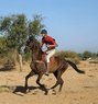 Hrishabh - Male escort in Ahmedabad Photo 1 of 1