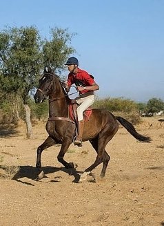 Hrishabh - Male escort in Ahmedabad Photo 1 of 1