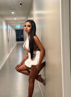 HUGECOCK QUEEN MISTRESS - Transsexual escort in Bangkok Photo 7 of 11