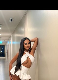 HUGECOCK QUEEN MISTRESS - Transsexual escort in Bangkok Photo 8 of 11