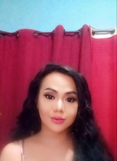 Hugehardcoc Kts - Transsexual escort in Manila Photo 13 of 15