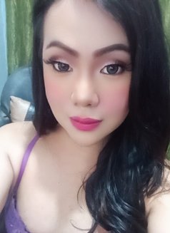 Hugehardcockts - Acompañantes transexual in Manila Photo 9 of 9