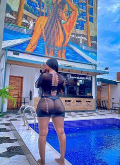 humble - Acompañantes masculino in Guangzhou Photo 3 of 3