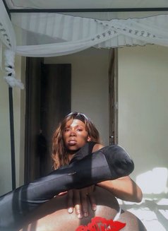 Huntrex - Transsexual escort agency in Nairobi Photo 1 of 6