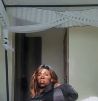 Huntrex - Agencia de acompañantes transexuales in Nairobi