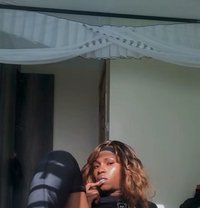 Huntrex - Agencia de acompañantes transexuales in Nairobi