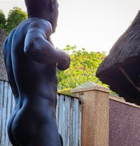 Hung Bull - Male escort in Nairobi