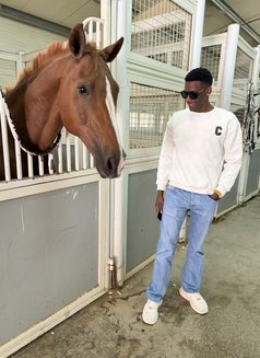 BBC VIKING - Male escort in Dubai Photo 5 of 5