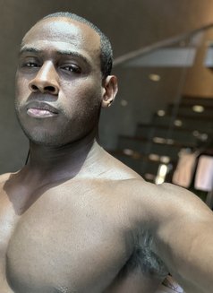 Hung Prince🇺🇸 - Male escort in London Photo 4 of 11