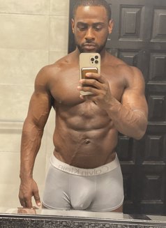 Hung Prince Lj🇺🇸 - Male escort in Geneva Photo 3 of 17