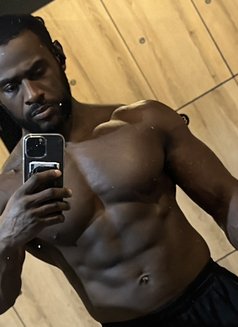 Hung Prince Lj 🇺🇸 - Male escort in Berlin Photo 4 of 11