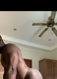 Hung Prince Lj 🇺🇸 - Male escort in Berlin Photo 9 of 11