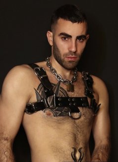 HUNG_XL - Acompañantes masculino in İstanbul Photo 6 of 18