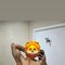 ALEX’s fuck Therapy - Male escort in Ahmedabad