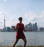 Hunting Prey With Whom to Stray? - Acompañante in Toronto Photo 1 of 8